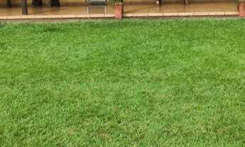 Imagem: Rancho para temporada - Campinal-P. Epitacio