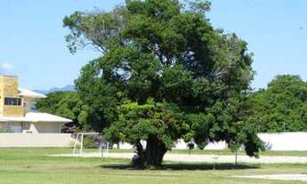 Imagem 2: Terreno Condomínio fechado no Campeche com escritura pública