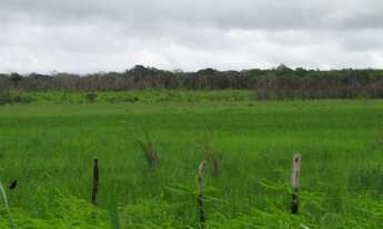 Imagem: FAZENDA CARNAÚBA NO QUIXADA