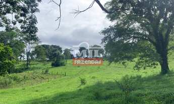 Imagem 5: Fazenda de Pecuária em Campinaçu-GO. > 255 Alq. (1.234 Há