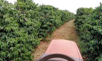 Imagem 4: Terreno - Rodovia Fernão Dias - Lavras - MG