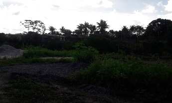 Imagem: Vendo um Terreno mini sítio em Adeia