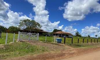 Imagem: Fazenda 225 hec em Cantanhede/Ma