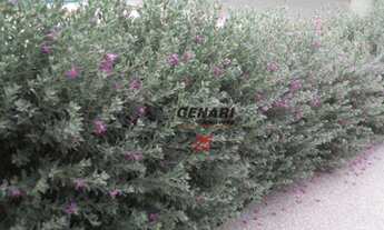 Imagem 7: Casa com 3 dormitórios à venda, 144 m² por R$ 880.000,00 - Jardim Mantova Residencial - In