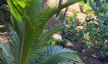 Imagem 7: Lote/Terreno para venda com 360 metros quadrados em Itapebussu - Guarapari - ES