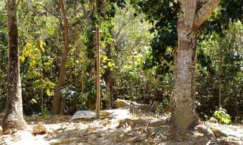 Imagem 6: Vendo/Troco Chácara linda 2,5 hetares em São Sebastião