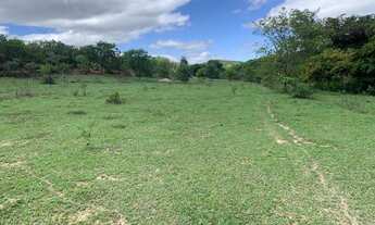 Imagem 2: Chácaras de 20.000m² com nascente, Jaboticatubas(Temos varias opções)