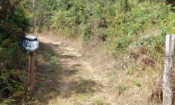Imagem 2: Vendo/Troco Chácara linda 2,5 hetares em São Sebastião