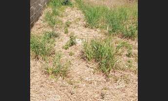 Imagem 6: Terreno 621 metros Portal de Ramos (Imperio do Sol