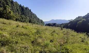 Imagem 2: Chácara para venda com 3 hectares em Rolante - RS