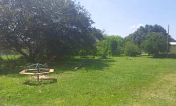 Imagem 3: Lindo sítio 5000m2, c/casa e piscina, apenas 1500mts da RS040