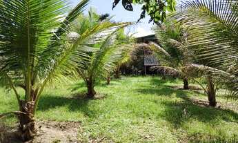 Imagem 5: Sítio bem rústico em Presidente Figueiredo