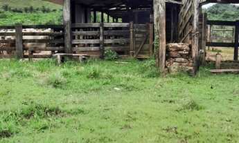 Imagem 2: Fazenda 173 alqueires com 170 de abertura!<br>região de São Félix do Xingu!