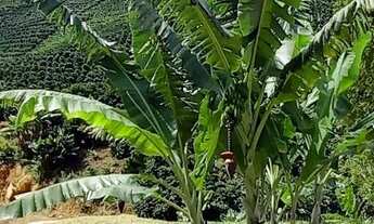 Imagem 4: Terreno na região das montanhas - excelente negócio para investimento