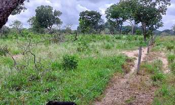 Imagem 5: Fazenda com 94 alqueires em Colmeia/TO