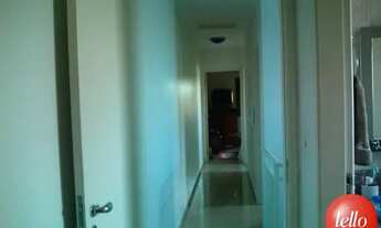 Imagem 7: São Paulo - Casa Padrão - Tatuapé