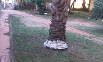 Imagem 7: CASA EM 2 TERRENOS NO BAIRRO MEDIANEIRA