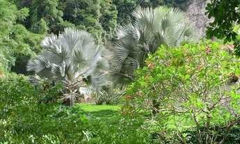 Imagem 5: Imóvel no Alto Leblon com lindos jardins e infraestrutura total de lazer