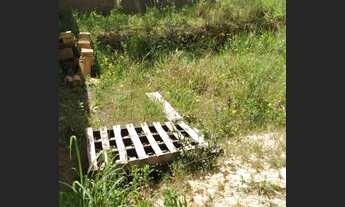 Imagem 4: Casa para Venda - 50m², 2 dormitórios, Santo Onofre