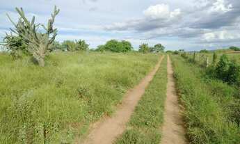 Imagem 3: Terreno Beira de rio