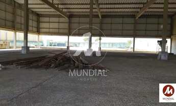 Imagem 3: Salão/Galpão (salão - térreo