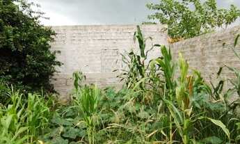 Imagem 7: Terreno gaveta no Cuca Fresca 1000 Metros