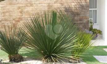 Imagem 4: Casa"Alto Padrão " Condomínio Morada do Sol - Vinhedo