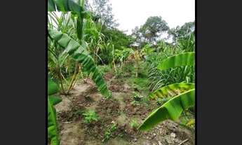 Imagem 3: Vendo chácara em lagarto