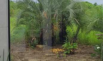 Imagem 7: Aluguel Mensal Casa Imbituba (até 30/11