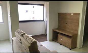 Imagem 5: Procuro menina para dividir apartamento
