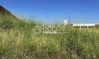 Imagem 2: Terreno à venda, Jardim Botânico - ARAGUARI/MG