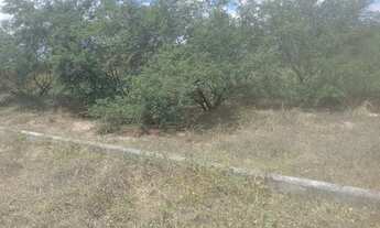 Imagem 3: Terreno para chácara