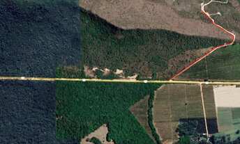 Imagem 5: Fazenda ideal para plantações