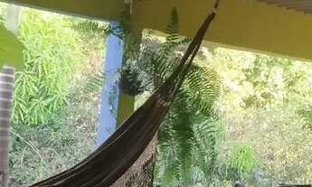 Imagem: Ótima oportunidade. Chácara, localização