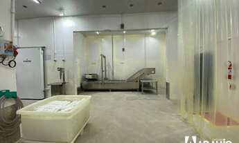 Imagem: Frigorifico de pescados para Alugar no bairro