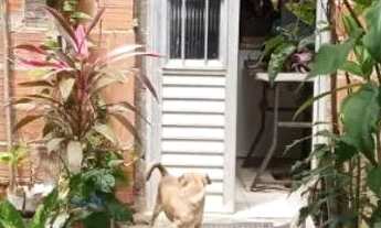 Imagem 2: Venda ou troca terreno com casa em barra nova