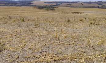 Imagem 6: Fazenda de 128 alqueires em Doverlandia-Go