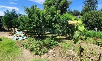 Imagem 11: Chácara Apanhador Caxias do Sul