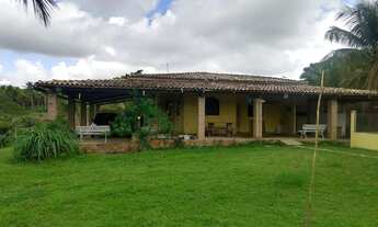 Imagem 2: Fazenda/Sítio/Chácara para venda possui 7 hectares quadrados em Zona Rural - Amélia Rodrig