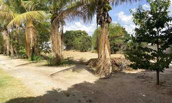 Imagem 5: Casa grande em Luiz Eduardo Magalhães BA