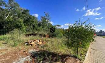 Imagem 7: Loteamento Jardim do Parque à venda no Sete de Setembro em Dois Irmãos RS REF: 1400