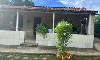 Imagem 3: Vendo chacara formada