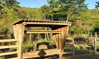 Imagem 5: Fazenda pra Gado 55 Alqueires - Região Lua Nova em Faina - GO