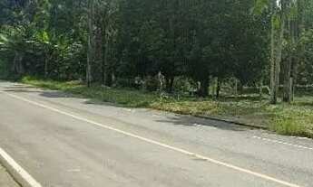 Imagem 6: Lindo sítio na estrada de Autazes km 11 ramal asfaltado a 2.5km de distância da AM 254