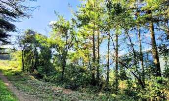 Imagem: Sítio / Chácara para Venda em Nova Petrópolis