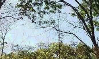 Imagem 3: Excelente chácara a Venda com 30.000M2, no seguimento da Avenida Souzânia Jaiaraa