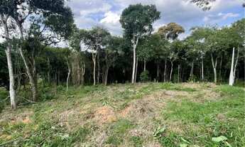 Imagem: Vendo lote na Peinha