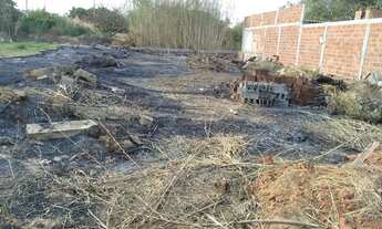 Imagem 6: Lote a 300 metros da BR ao lado da Vicente e 26 de setembro