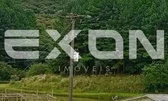 Imagem 3: Chácara em Mandirituba com 333.960 m² com Reflorestamento de Pinus