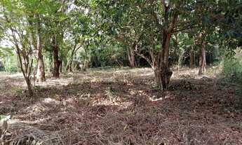 Imagem 5: Terreno a venda avenida principal do Cajueiro